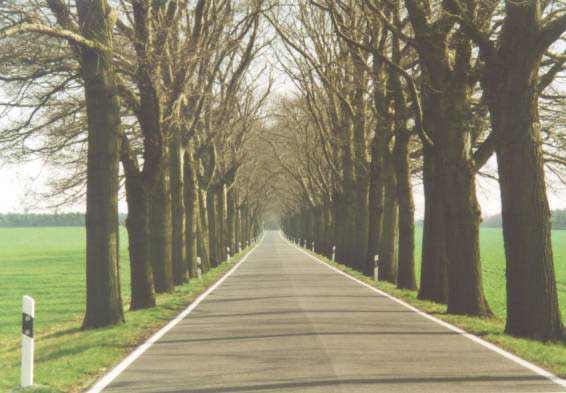 Oster Rush-Hour in Brandenburg