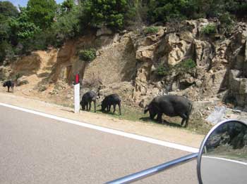 Strada Orientale